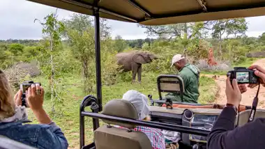 Kruger National Park - © www.theguys.co.za